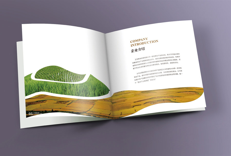 在做影視公司畫冊(cè)設(shè)計(jì)時(shí)有何注意事項(xiàng)呢？
